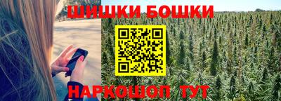 бошки Боровичи