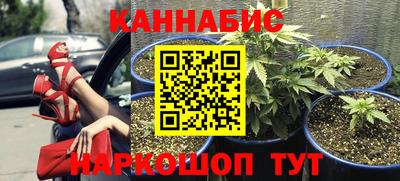 spice Бердск