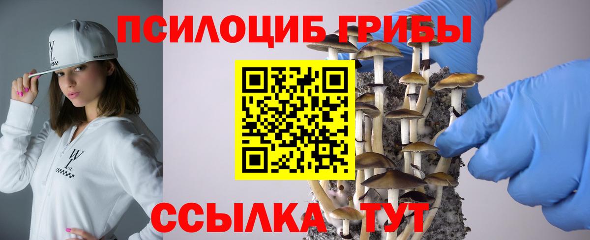 Псилоцибиновые грибы прущие грибы  Вход с VPN  Артёмовский 